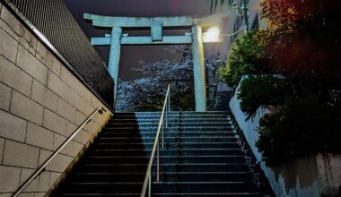 Torii near Golden Gai