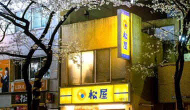 Night views of Tokyo during the sakura blossom season