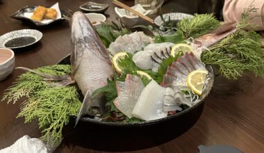 Sea Bream (鯛)Sashimi