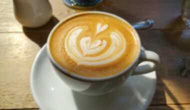 a perfect cappuccino in Hibiya