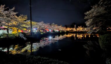 Tsuruoka hanami festival