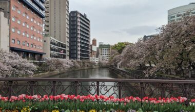 Trip report: 3 weeks from Kyushu to Tokyo (Including photos, tips and more)