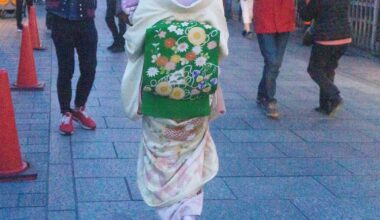 Quick question, based on these pics is this lady a tourist or a geiko/maiko. This was taken last 2019 if that helps.