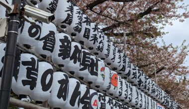 [OC] On the way to Senso-Ji (April 2023)