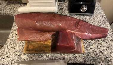 16.5lbs of yellowfin tuna I'm going to turn into sushi