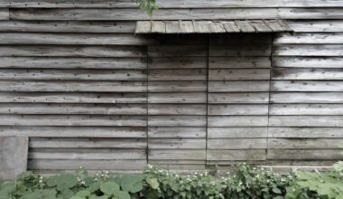 Wood wall, with doors (color slightly de-saturated)