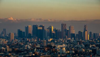 Shinjuku Skyline