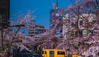 Spring day in Nakano