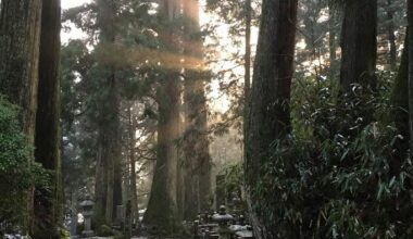 Okunoin Cemetery Path