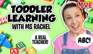 Anyone know of educational Japanese youTube videos for babies or toddlers like ms Rachel