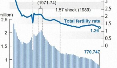 COVID not sole cause of marriage decline in Japan amid record low births