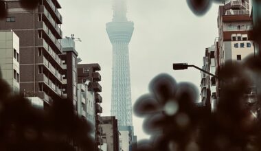 My fave picture from my trip! The Tokyo SkyTree..