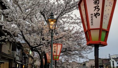 Cherry blossom bloom in Kanazawa