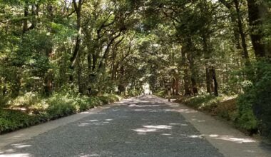 Yoyogi Park (May 2019)