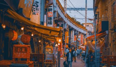 Ameyoko Shopping District