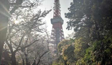 Spring with Tokyo Tower