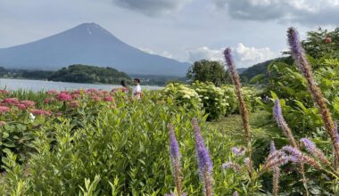 Garden at Lake Kawaguchiko