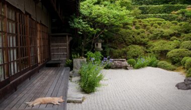 Outside a rural house