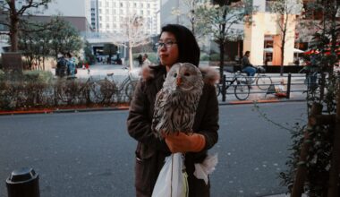 Pet Owl ~ Tokyo