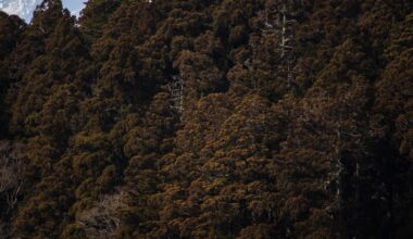 Hakone and fuji