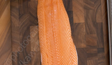 Preparing and curing $6 grocery salmon for sushi