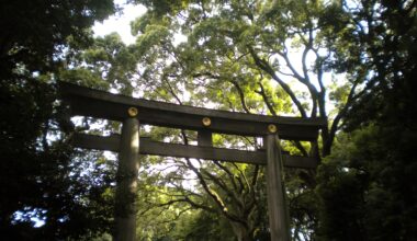 Yoyogi park's big torii - Tokyo, August 2015