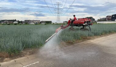 Watering the crops, Ibaraki.