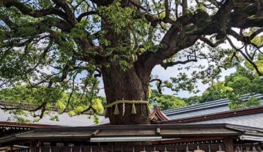 Pictures from my trip to Japan (Tokyo to Hiroshima and a lot in between!)