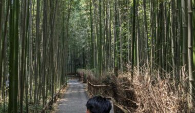 A rickshaw is the way to go in Arashiyama