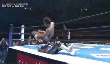 Kota Ibushi vs Hiroshi Tanahashi G1 Climax 28 Final Highlights