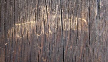 World Heritage temple in Nara vandalized by visiting foreign teen