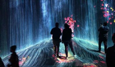 teamLab Borderless Universe of Water Particles on a Rock Hill where People Gather (December 2019)