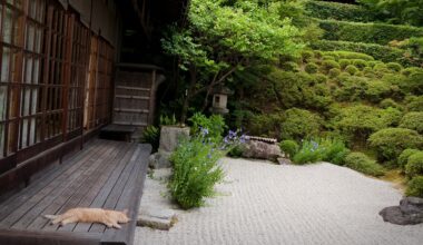 Outside a rural house