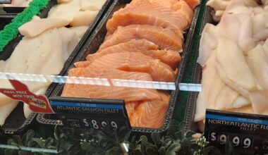 Do you think this Shoprite Salmon is safe to make Sushi with?