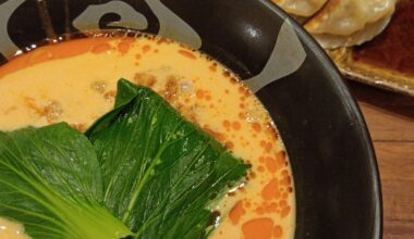 Tantanmen and Gyoza 🍜🥟