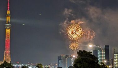 Tokyo (Sumida) Fireworks last night