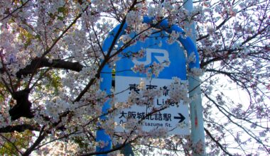 JR panel during Hanami - March 2018