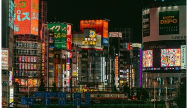 Shinjuku Nights