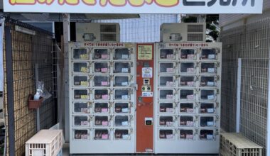 Egg vending machine! You can buy fresh eggs🥚