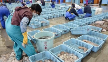 Hong Kong eyes seafood ban from 10 Japan areas after Fukushima water release