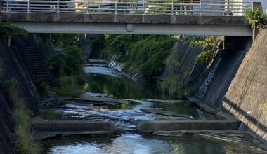 Sasebo River.