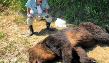 Hunter passes down lessons from horrific bear attack