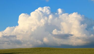 Rolling hills of central Hokkaido, three years ago today