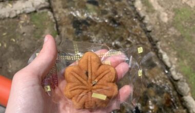 Miyajima goodies!