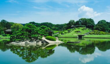 Summer Greenery (Koraku-en, Okayama)