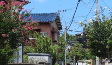 Summer walk in Nakagawa, Fukuoka