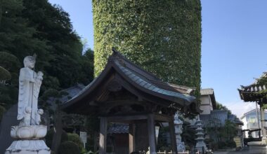 Cylindrical trees in temple near Makuhari.