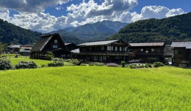 Rice fields of Shirakawa, Gifu