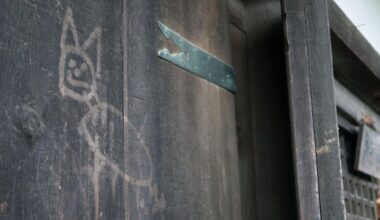 World Heritage temple in Nara vandalized with cat-like image