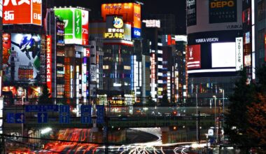 Kabukicho frm the Shintoshin pedestrian overpass